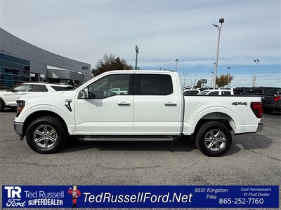 2025 Ford F-150 XLT