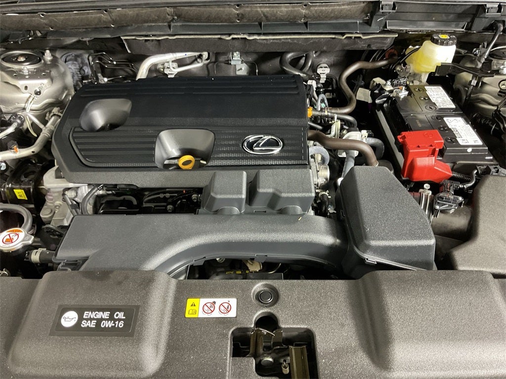 2024 Lexus NX 250 Premium