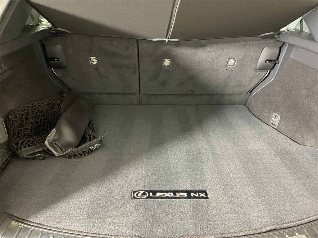 2024 Lexus NX 250 Premium