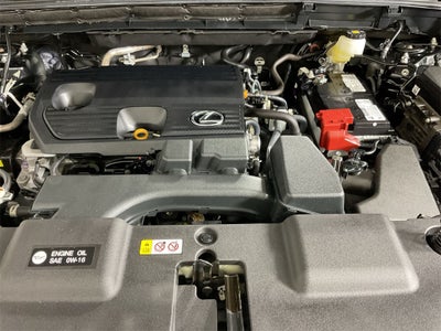 2024 Lexus NX 250 Premium