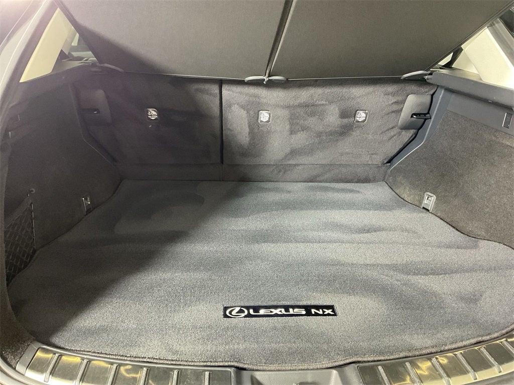 2024 Lexus NX 250 Premium