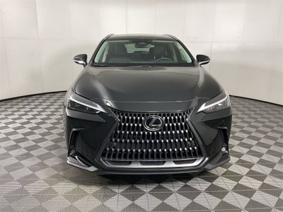 2024 Lexus NX 250 Premium