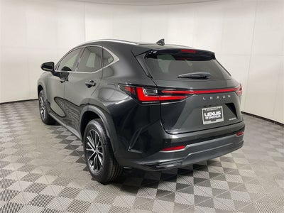 2024 Lexus NX 250 Premium