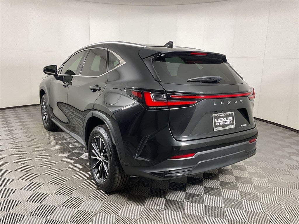 2024 Lexus NX 250 Premium