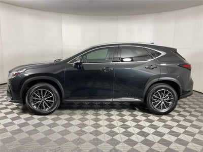 2024 Lexus NX 350 Premium