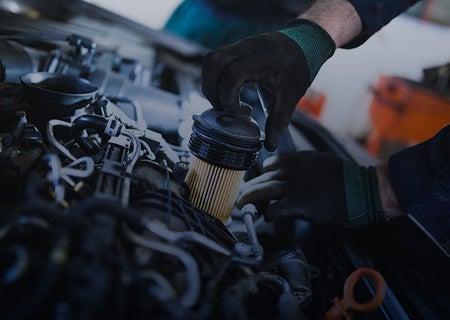 All Makes and Models