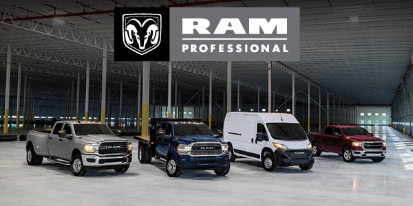 RAM Professional